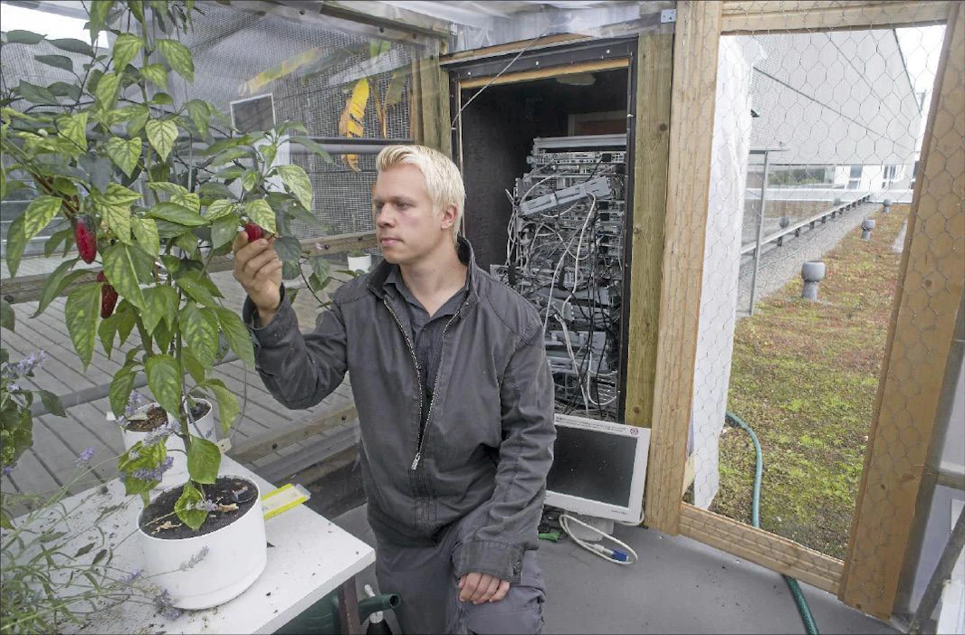 Lassi Remes löytää kattokasvihuoneille useita energialähteitä tietokonesalien lisäksi. Hukkalämpöä tuottavat myös esimerkiksi suuret kaupan liikkeet. MARKKU OJALA/compic