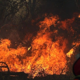 Metsäpalo riehui torstaina Roboressa Boliviassa. Lehtikuva/AFP