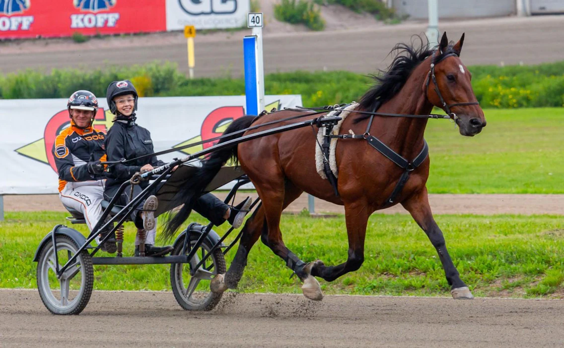 Teivossa starttaa kesäkuussa ravikoulu, joka toimii samalla periaatteella kuin ratsastuskoulu.