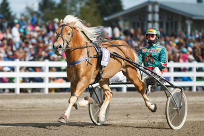 Jukka Torvinen tavoittelee Derby-voittoa Hiiopin rattailla.