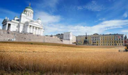 Senaatintorin viljapellot ovat valmiina puintiin.