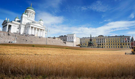 Senaatintorin viljapellot ovat valmiina puintiin.