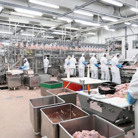 Siipikarjan lihan suosio kasvaa vahvasti. Atria rakentaa parhaillaan uutta siipikarjatehdasta Nurmoon.