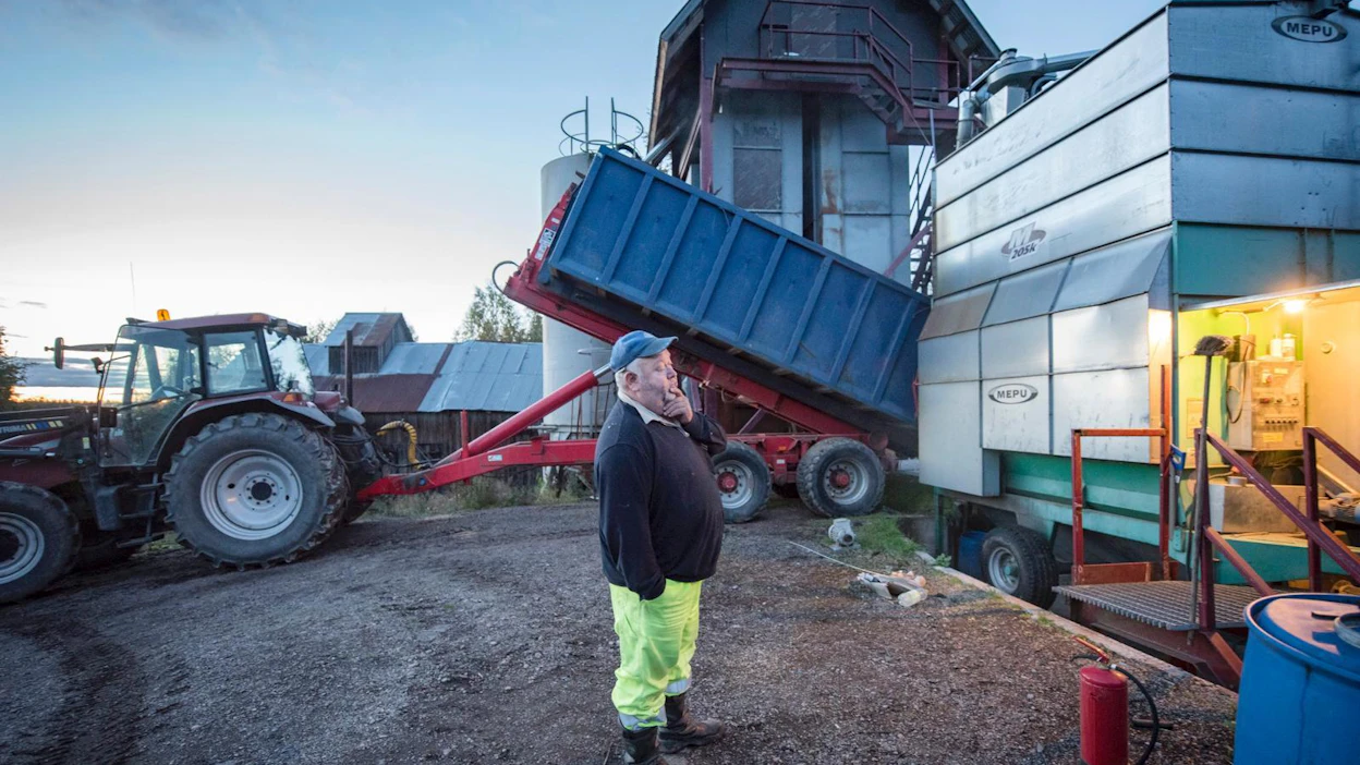 Nurmijärveläinen Tuomo Linden kuivasi tiistaina viimeisiä kevätvehnäeriä. Ensi viikolla on vuorossa ohran puinti.