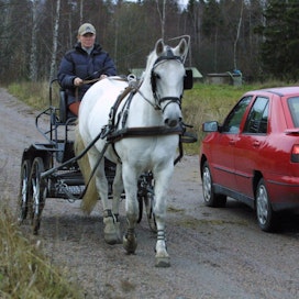 Hevosen ratsastajalla on vastuu siitä, että hevonen käyttäytyy liikenteessä oikein.