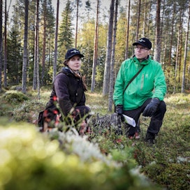Metsähallituksen suunnittelija Iida Härmänmaa ja suunnittelupäällikkö Niklas Björkvist pitävät hyvänä asiana vanhojen kelokantojen sekä lahopuun määrän kasvua talousmetsissä.