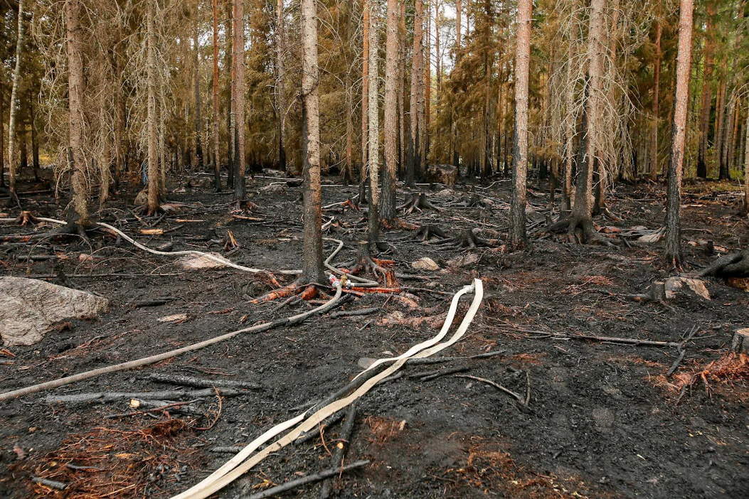 Metsää paloi Pyhärannassa yhdeksällä metsänomistajalla, joista kolmella tuhoala oli 7–14 hehtaaria ja vahingot noin 100 000 euroa.