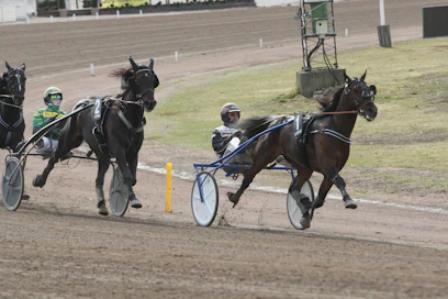Power Blasterin toipilaslomalle tuli kuukausia lisää mittaa. Ori on nähty edellisen kerran tositoimissa toukokuun lopulla Elitloppet-viikonvaihteen V75-finaalissa.