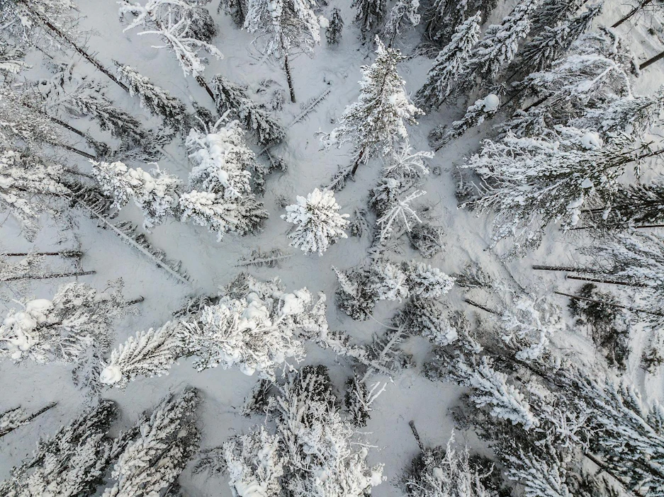 Dronella eli pienoiskopterilla saa kartoitettua lumituhoja melko hyvin, mutta sitä on hankala lennättää alueilla, jonne ei pääse tietä pitkin. MT lennätti kopterikameraa tiistaina Lieksassa.