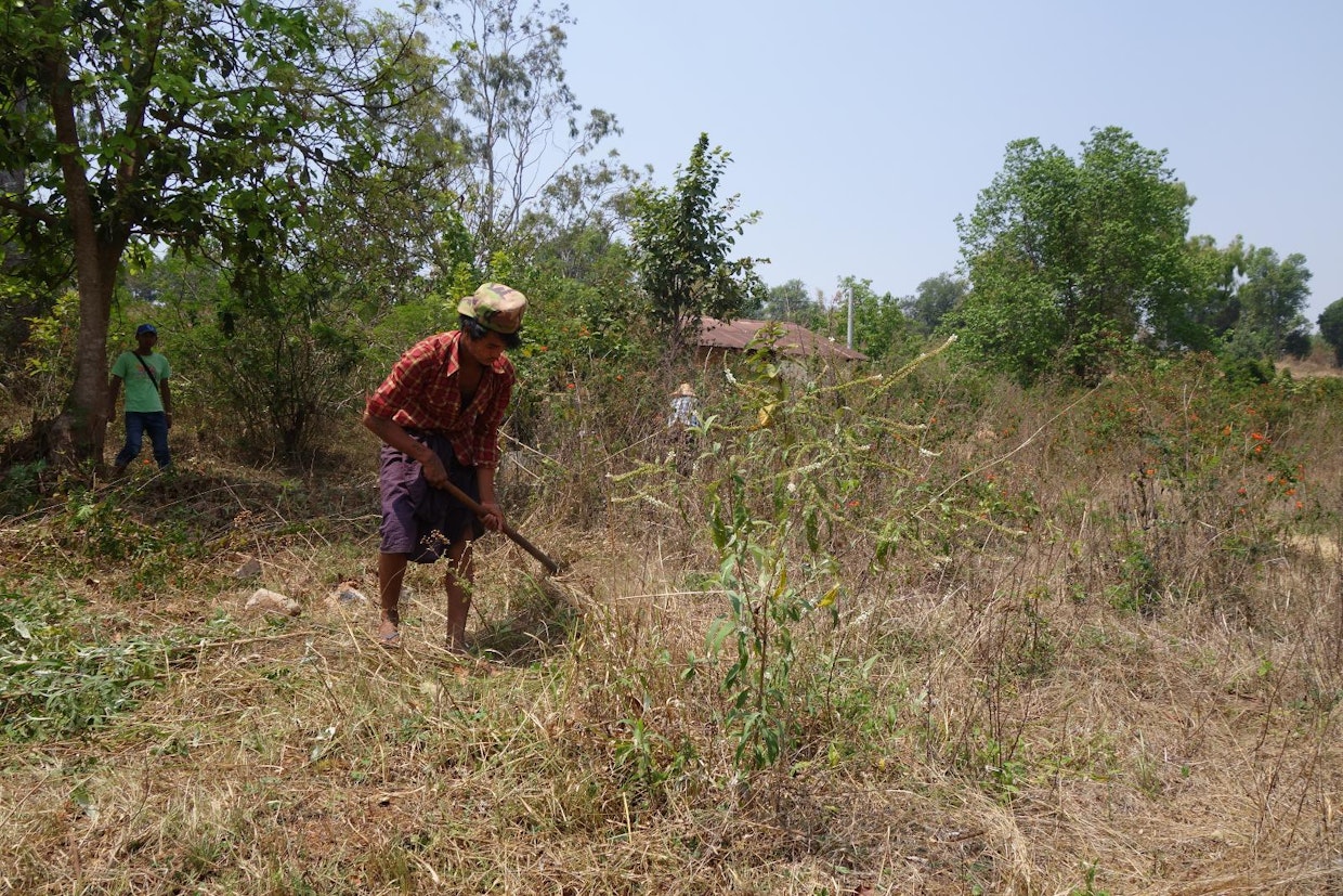 Phe Wlan viime vuonna perustettua taimistoa laajennetaan.