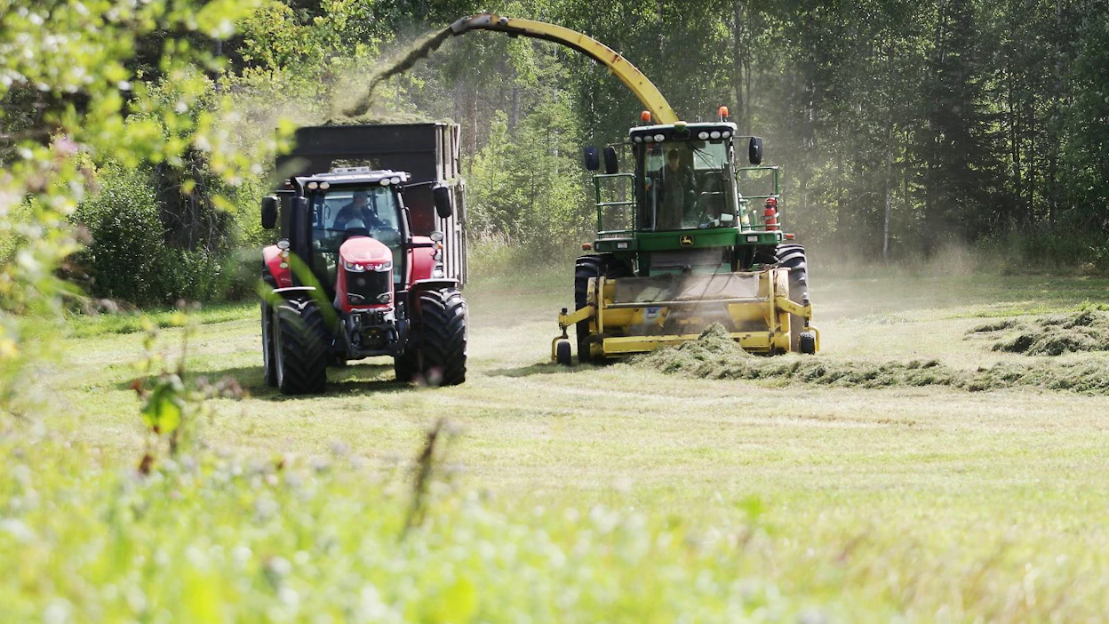 Ohjelma sisältää työnmenekkilaskelmat nurmikasveista erikseen säilörehulle, heinälle ja laitumelle.