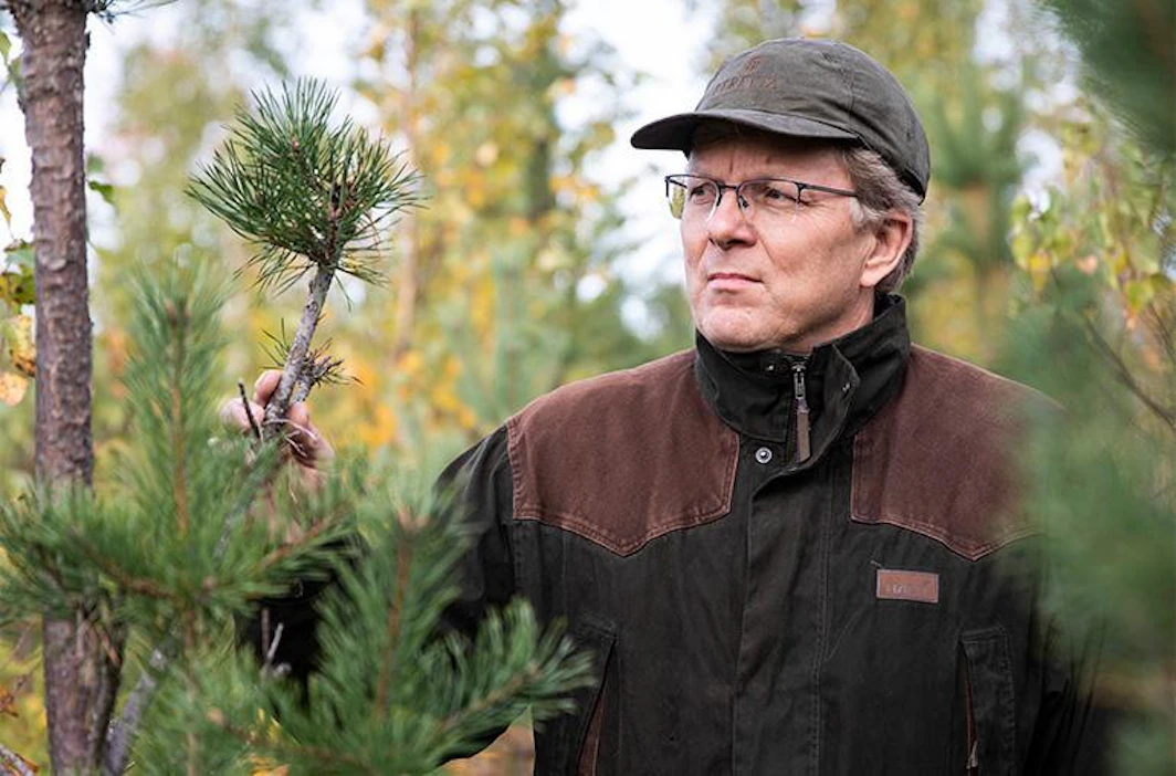 Uudistaako vai jatkaako kasvatusta, vaikkei tukkia tule? Siinä kysymys, johon ei ole metsänomistajaa tyydyttäviä vastauksia.