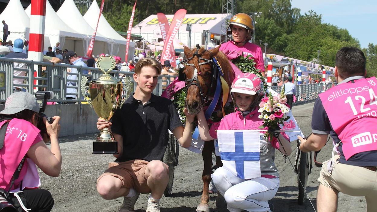 Ohjastaja Elina Miettunen ja valmentaja-omistaja Mats Havulehto juhlivat Pomona II.n voittoa Mini-Elitloppetissa Tukholman Solvallan radalla toukokuun viimeisenä viikonloppuna. Tulevana viikonloppuna Miettunen kilpailee valmentamansa Noron Sissin kanssa.