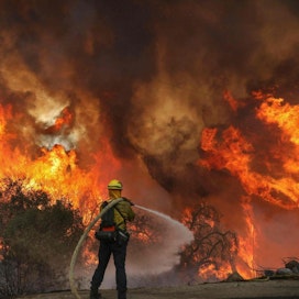 Kaliforniassa perjantaina alkanut Creek Fire -suurpalo on levinnyt 18 400 hehtaarin alueelle. Kuvassa sammutetaan pienempää, reilun 1 600 hehtaarin maastopaloa toisaalla osavaltiossa. Lehtikuva/AFP
