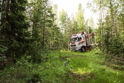 Huonossa kunnossa oleva metsäautotie näkyy puukaupan hinnassa.