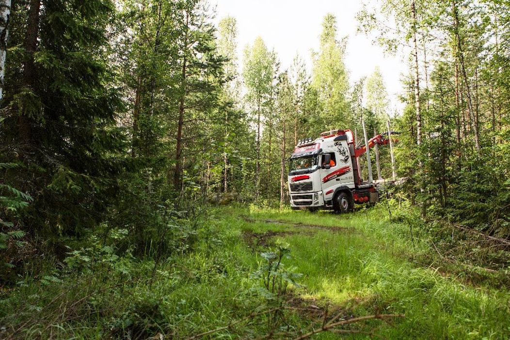 Huonossa kunnossa oleva metsäautotie näkyy puukaupan hinnassa.