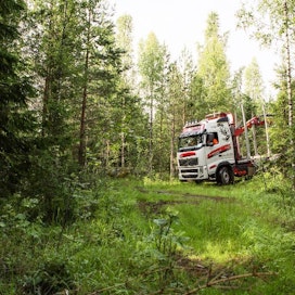 Huonossa kunnossa oleva metsäautotie näkyy puukaupan hinnassa.