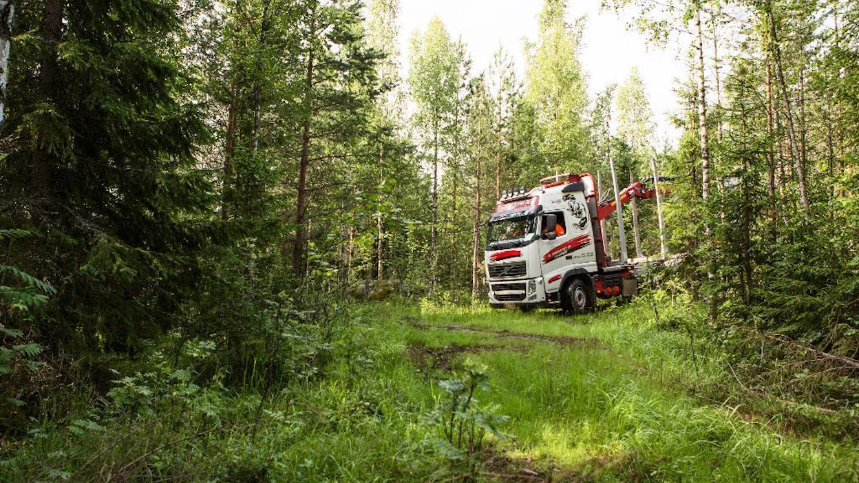 Huonossa kunnossa oleva metsäautotie näkyy puukaupan hinnassa.