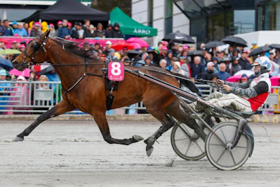 Next Direction venyi Iikka Nurmosen ohjastamana Elitloppetin kuraiseen finaaliin ja siinä kuudenneksi, vaikka jossiteltavaakin jäi.