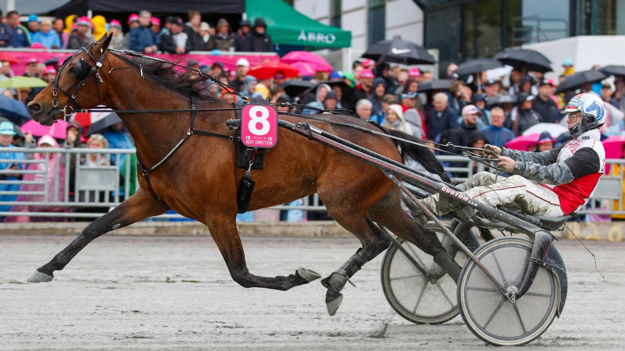 Next Direction venyi Iikka Nurmosen ohjastamana Elitloppetin kuraiseen finaaliin ja siinä kuudenneksi, vaikka jossiteltavaakin jäi.