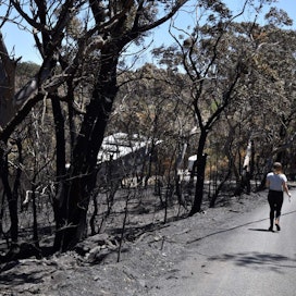 Kuivuuden, kuumuuden ja kovien tuulten pelätään pahentavan Australian maastopaloja. Sydneyyn on annettu varoitus katastrofaalisesta tulipalovaarasta. LEHTIKUVA / AFP