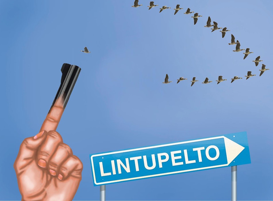 MTK lupaa auttaa viljelijöitä karkotuslupien hakemisessa.