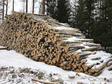 Kuitupuulla on tällä hetkellä tukkia parempi kysyntä.