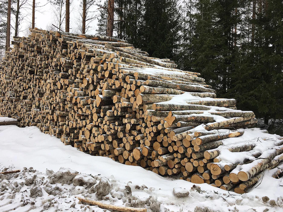 Kuitupuulla on tällä hetkellä tukkia parempi kysyntä.