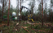 "Metsä on meille siis arvokasta ja tuottoisaa omaisuutta, josta puita kaadetaan vain todelliseen tarpeeseen ja kysyntään."