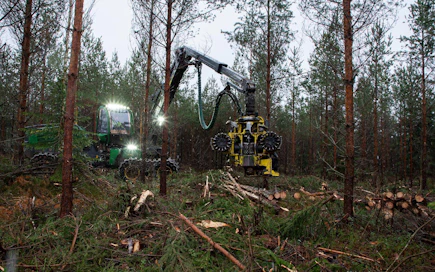 "Metsä on meille siis arvokasta ja tuottoisaa omaisuutta, josta puita kaadetaan vain todelliseen tarpeeseen ja kysyntään."