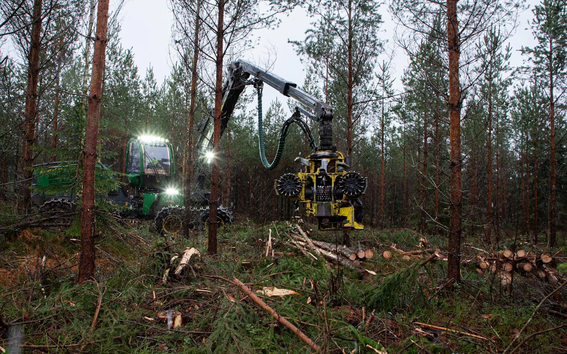 "Metsä on meille siis arvokasta ja tuottoisaa omaisuutta, josta puita kaadetaan vain todelliseen tarpeeseen ja kysyntään."
