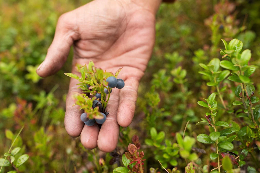 Varusmiesliiton mielestä Puolustusvoimat tietää parhaiten, minkälaisia taitoja varusmiehet tarvitsevat.