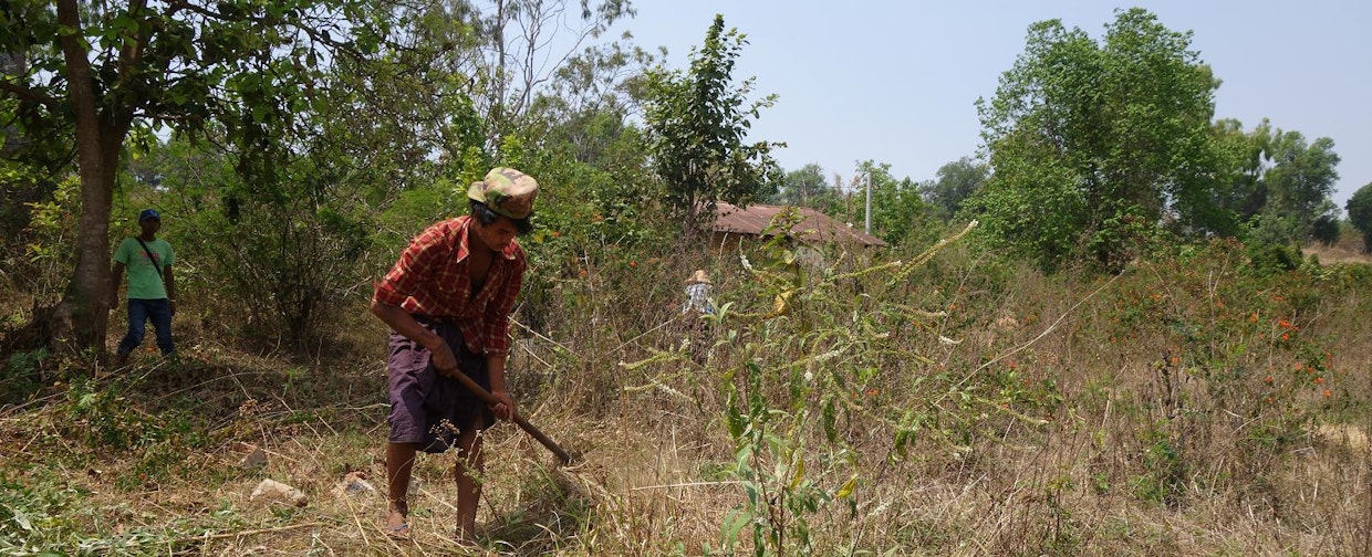 Phe Wlan viime vuonna perustettua taimistoa laajennetaan.
