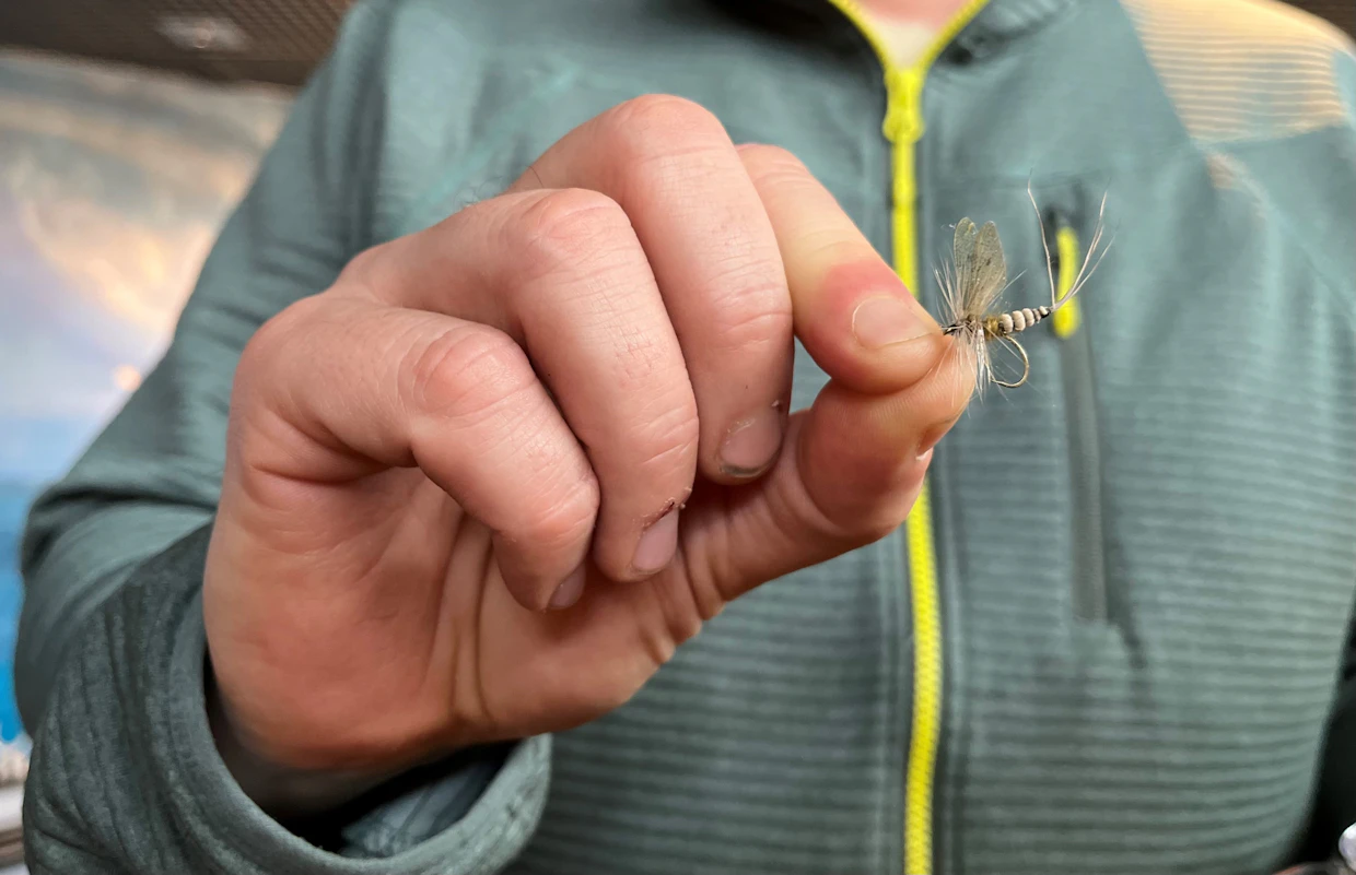 Perhot muistuttavat kalojen luonnollista ravintoa eli yleensä tiettyä hyönteistä.