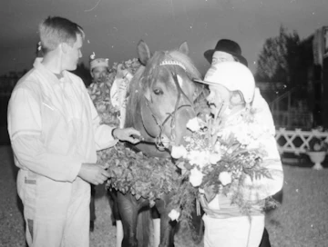 Kauhu ottaa osansa luotto-ohjastajansa Ahti Antti-Roikon pitelemistä voittokukkasista. Käynnissä ovat vuoden 1990 Suviyön valtias -lähdön seremoniat. Lähtö ajettiin perinteisesti juhannusaattona keskiyön hämyssä. Kauhun vieressä Paavo Impolan poika Pasi. Hän on sittemmin tullut tunnetuksi Kriteriumin voittaneen Pauskerin ja kohti huippua kohoavan Koverin valmentajana.