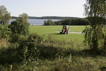 Tuhoeläintorjuntaa oli suhteellisen paljon vuonna 2018.