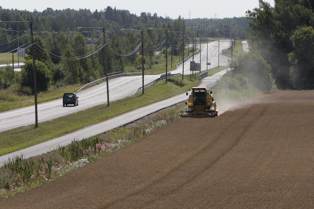Viljan puintia Hämeenlinnassa. Kuva ei liity viljaosuuskuntaan.