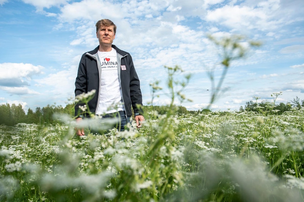 Jyrki Leppälän mukaan kumina on menestynyt hyvin tänä vuonna.