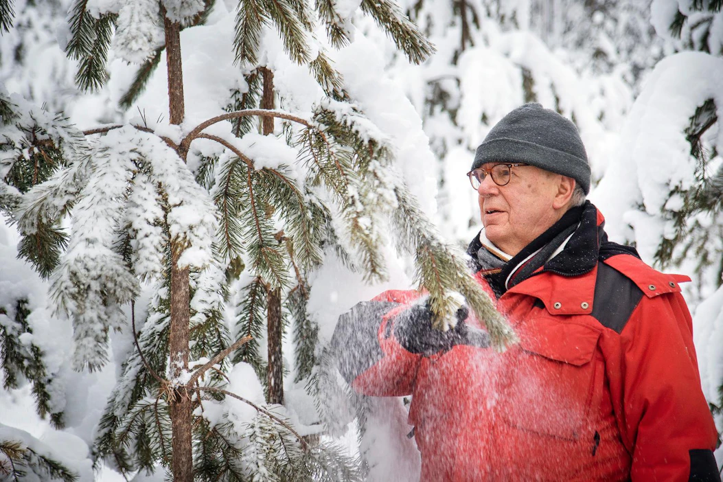 Jukka Seppisen perheen metsäpalsta sijaitsee Kuopion Nilsiän taajamassa. Virkistyskäytön lieveilmiöt, kuten oksien katkominen, suututtavat Seppistä.