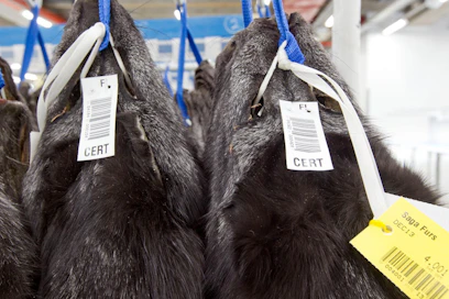 Saga Furs on turkisten huutokauppayhtiö, jonka osake noteerataan Helsingin pörssissä. Arkistokuvassa on turkishuutokauppaan valmiita Blue Frost -ketunnahkoja.