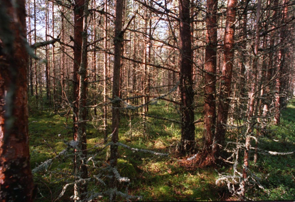 Metsähallitus toteaa tiedotteessaan, että erävalvonta miettii toimia puuttua laittomuuksiin, mutta teiden sulkeminen ei ole vaihtoehtona.