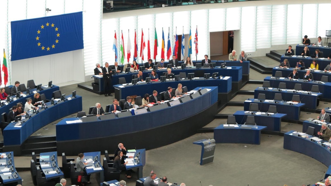 Euroopan parlamentin metsiä koskevasta ilmastolainsäädännöstä äänestetään syyskuussa täysistunnossa.