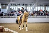 Emma Kanerva ratsasti klinikalla Breeders’ Prize -voittajaratsulla Katallin Fiinadonna, jolle iso yleisö oli uusi asia. ”Jokainen hevosen kanssa vietetty hetki ja yhdessä olo on mulle periaatteessa kouluttamista”, Terhi Stegars muistutti.