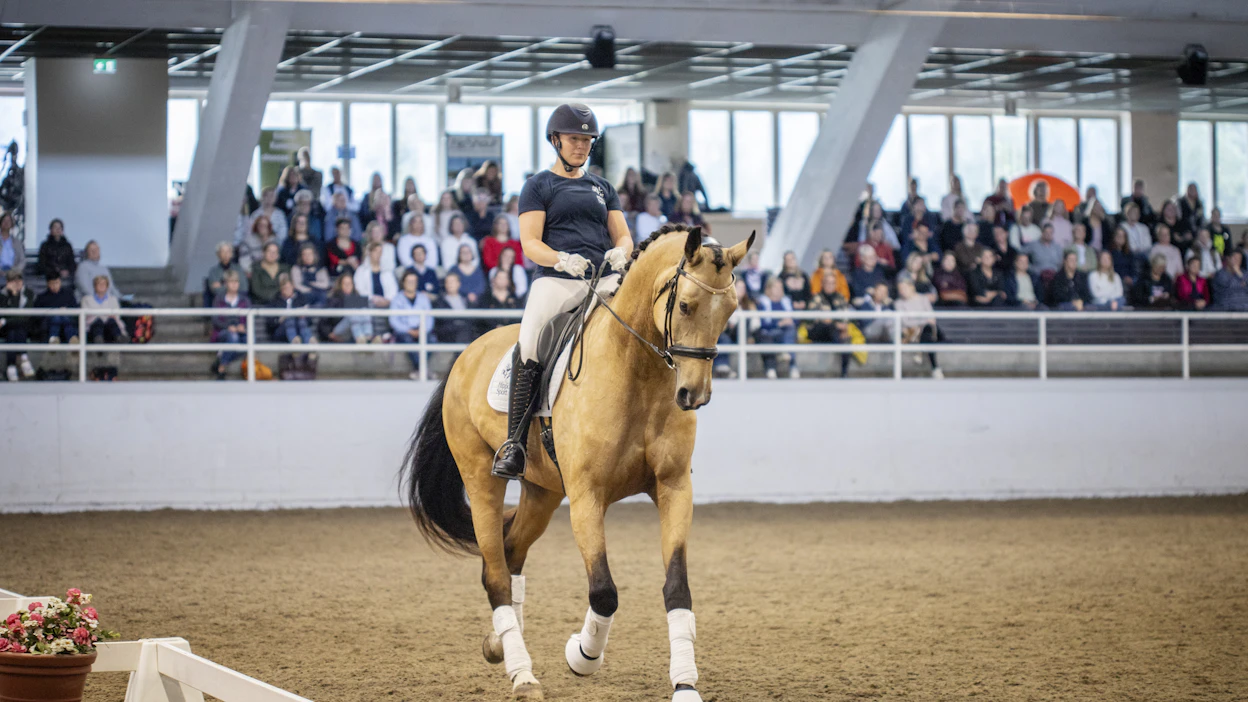 Emma Kanerva ratsasti klinikalla Breeders’ Prize -voittajaratsulla Katallin Fiinadonna, jolle iso yleisö oli uusi asia. ”Jokainen hevosen kanssa vietetty hetki ja yhdessä olo on mulle periaatteessa kouluttamista”, Terhi Stegars muistutti.