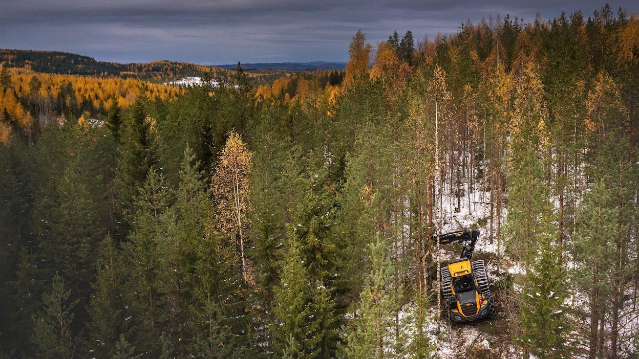 Metsäiset maat ovat huolissaan EU:n rahoitussääntelystä.