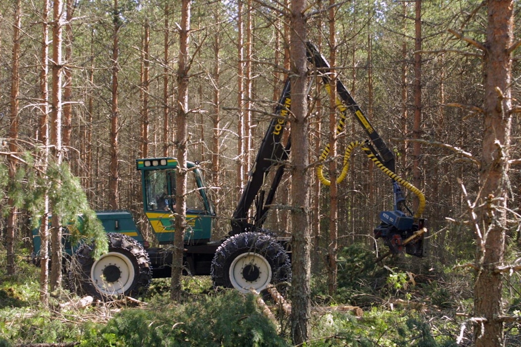 Metsätalous elinkeinona joutuu monien haasteiden eteen.