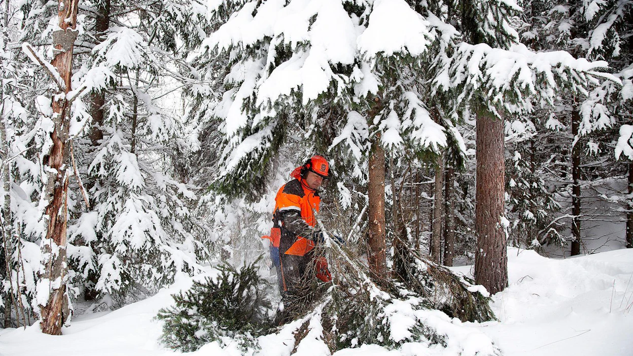 Vesa Örmark hakee metsästä paitsi polttopuuta, rakennustarvikkeita ja myyntipuuta, ennen kaikkea kuntoa ja mielenrauhaa.