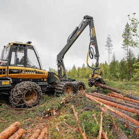 Teollisuusliittoon järjestäytyneiden metsäkoneenkuljettajien mukaan Suomessa tällä hetkellä suunnitteilla olevat viisi isoa metsäteollisuuden tehdashanketta poistaisivat toteutuessaan metsäkonealan kausityöttömyyden lähes kokonaan.