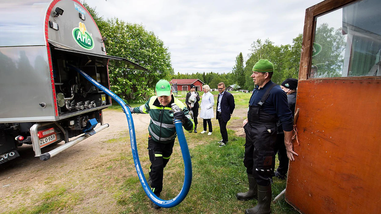 Maitoautonkuljettaja Pekka Nurmela aloittamassa maidon siirtoa. Toimintaa seuraavat Liisa Sääskilahti (takana vas.), Tuija Linjakumpu, Sami Kilpeläinen, Jukka Sääskilahti sekä meijerin työntekijä Mervi Kelahaara.