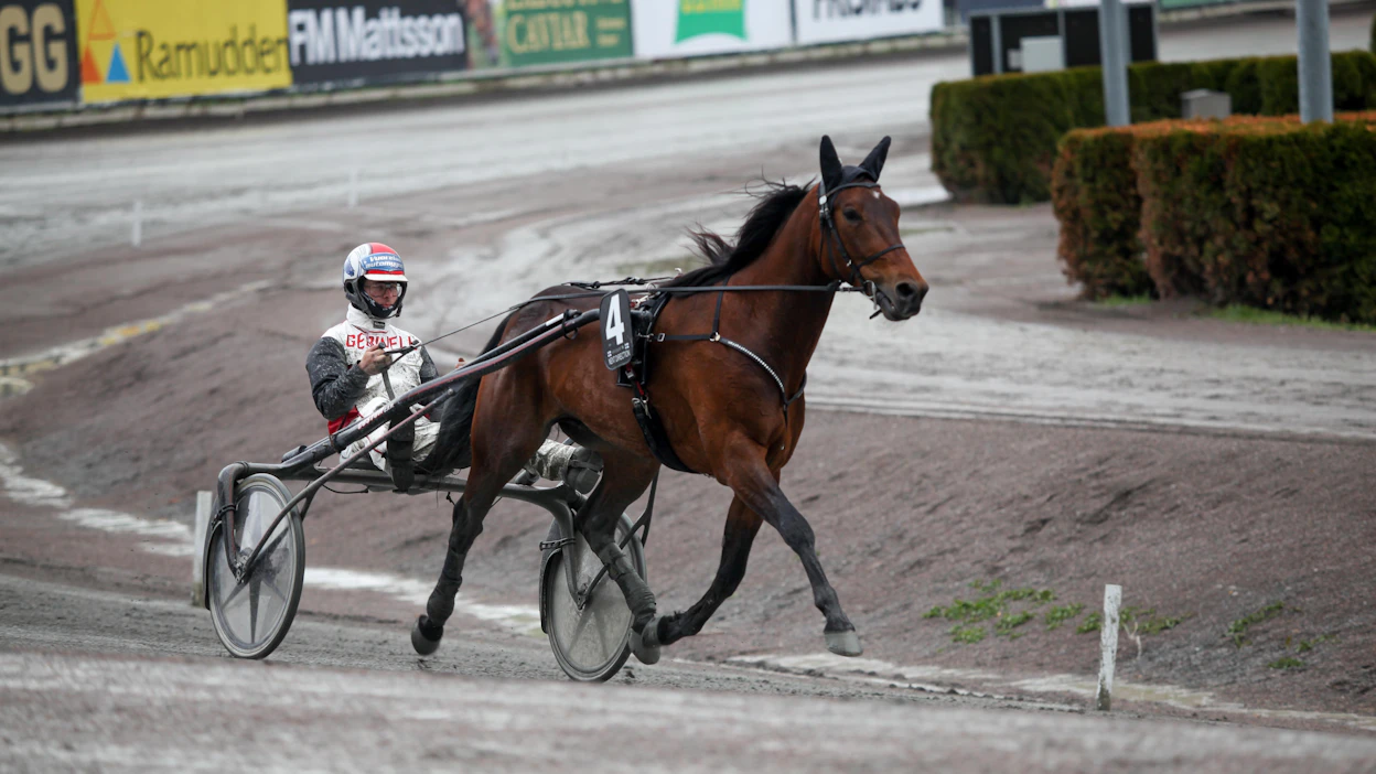 Next Direction ja ohjastaja Iikka Nurmonen pitivät Suomen lippua korkealla Solvallassa, vaikka Elitloppetista ei kultaa saatukaan.